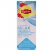 AUGĻU TĒJA LIPTON A MOMEMT TO RELAX HIBISCUS & PASSION FRUIT, MAISIŅOS PAPĪRA APLOKSNĒS (391615)