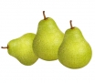 BUMBIERI GUYOT/ Francija /