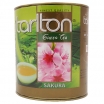 ZAĻĀ TĒJA TARLTON SAKURA, BERAMĀ (010345)