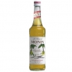 SĪRUPS MONIN VANIĻAS (056469)