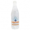 DABĪGAIS MINERĀLŪDENS NEGĀZĒTS ACQUA PANNA (004233)