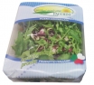 SALĀTS MIX RUCOLA + RADICHIO /Itālija/ 1.šķira