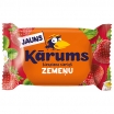 BIEZPIENA SIERIŅŠ KĀRUMS ZEMEŅU (000528)