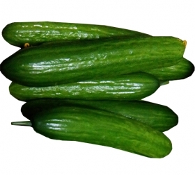 GURĶI SVAIGI GARIE /Nīderlande /pusgarie